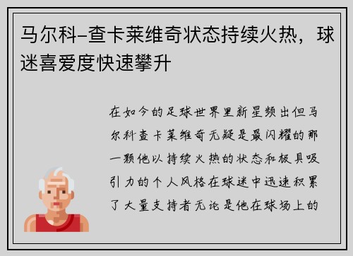 马尔科-查卡莱维奇状态持续火热，球迷喜爱度快速攀升